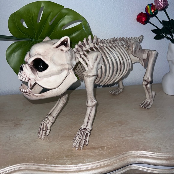 Plastic French Bulldog Pitbull Halloween Skeleton Frenchie EUC Decoration Dog - Picture 1 of 4